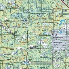 Топографическая Карта Алданского Района