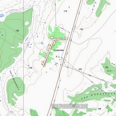Топографическая карта Спасска-Дальнего 1 см - 250 м