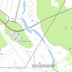 Топографическая карта деревни Власово 1 см - 250 м