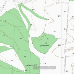 Топографическая карта деревни Тарасово 1 см - 250 м