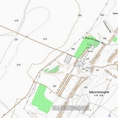 Топографическая карта деревни Фомино 1 см - 250 м
