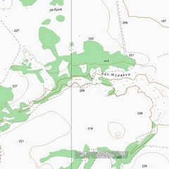 Топографическая карта станицы Некрасовская 1 см - 250 м