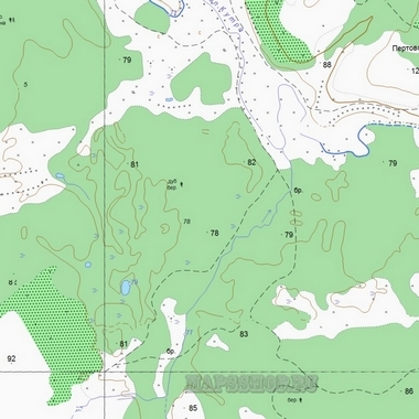 Топографическая карта Похвистнево 250 м - подробная топокарта Похвистневоскачать